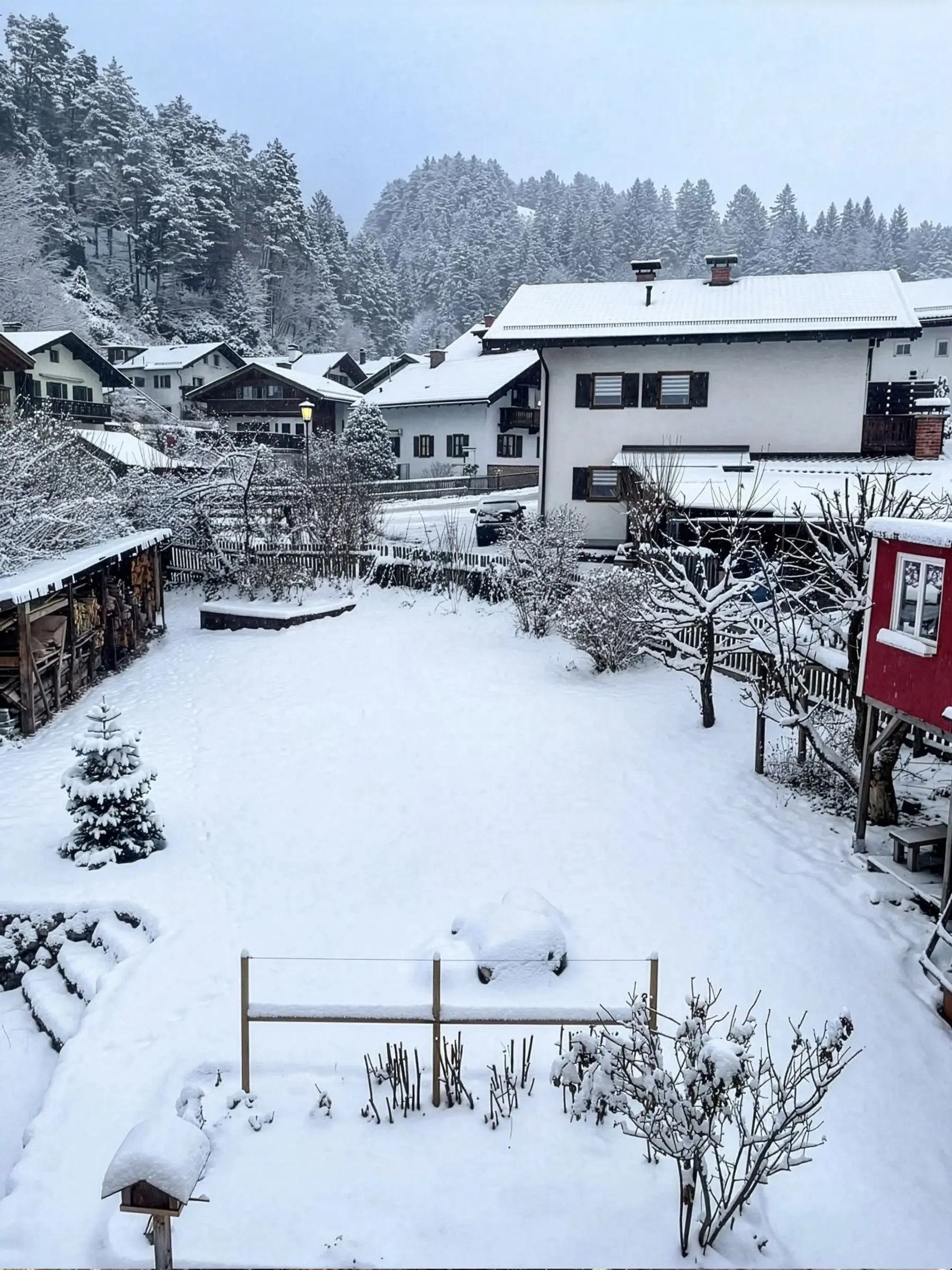 Verschneiter Garten, dahinter die Nachbarhäuser